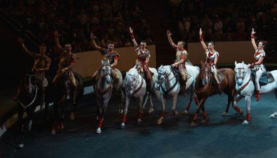 Цирк «Жираф шоу»