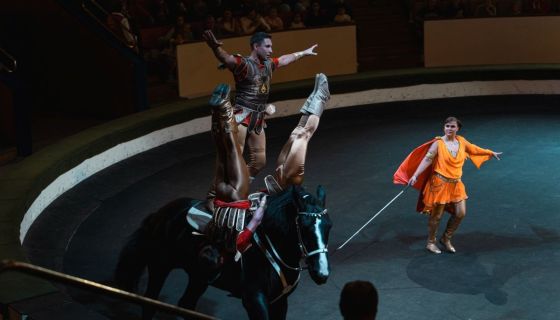 Цирк «Жираф шоу»