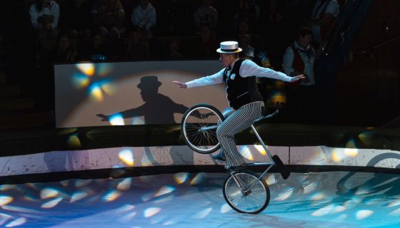 Цирк «Жираф шоу»