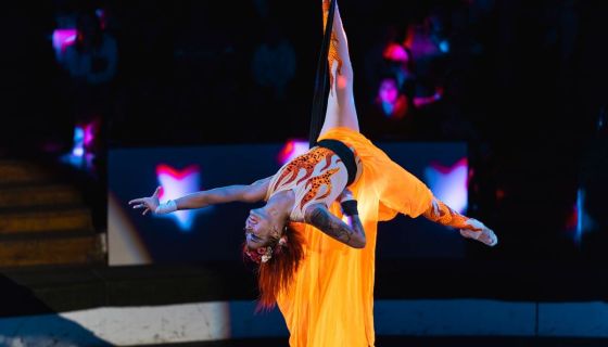 Цирк «Жираф шоу»