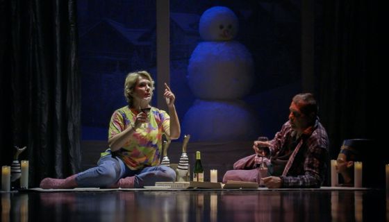 Спектакль «Снежный вальс», Нерехта